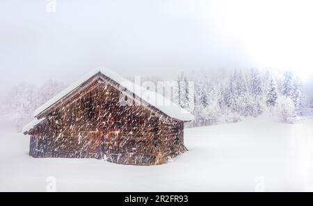 Rapid landscape during snowfall in winter landscape with hut, Bavaria, Germany Stock Photo