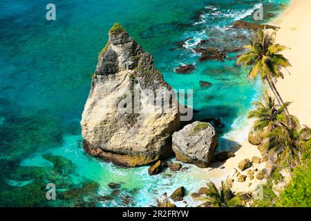 Beautiful beach. selective focus on big rock on nice tropical beach with palms trees. Holiday and vacation concept. Stock Photo