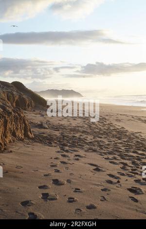 Footsteps on the evening beach at Point Reyes, California, USA. Stock Photo