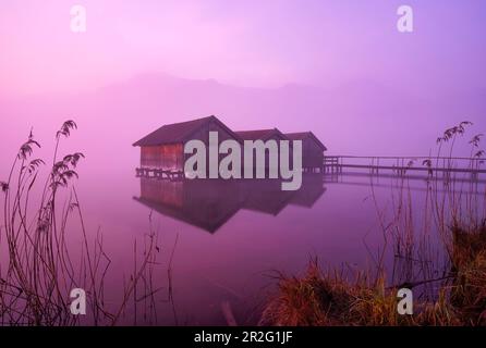 The three boathouses on the Kochelsee at sunrise, Upper Bavaria, Bavaria, Germany, Europe Stock Photo