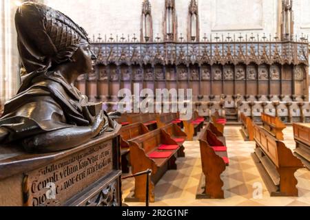 Ulm Cathedral, interior view, choir stalls by Joerg Syrlin the Elder, Ulm, Baden-Wuerttemberg, Germany Stock Photo