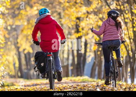 Two woman riding bicycles, late autumn in the Neckar valley, autumn leaves shine in colourful colours on the riverside path, Stuttgart Stock Photo