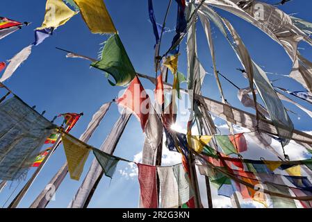 On the Pele La pass between Punakha and Trongsa. Thousands of prayer flags welcome the traveler. Stock Photo