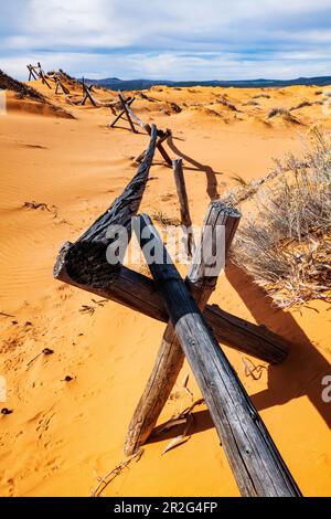 Weathered wormwood ranch fence; Coral Pink Sand Dunes State Park; Utah; USA Stock Photo