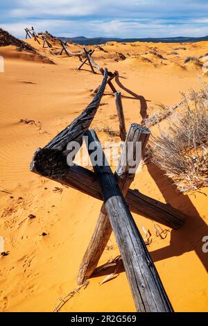 Weathered wormwood ranch fence; Coral Pink Sand Dunes State Park; Utah; USA Stock Photo