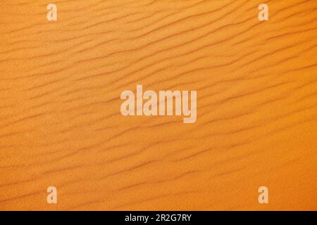 Graphic close-up of wind scoured sand; Coral Pink Sand Dunes State Park; Utah; USA Stock Photo
