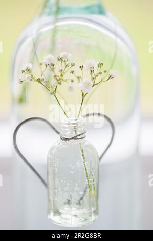 White flowers in a glass bottle with a heart in the background Stock Photo