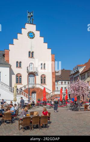 Town hall square with almond trees in bloom, Landau in der Pfalz, German Wine Route, Southern Wine Route, Rhineland-Palatinate, Germany Stock Photo