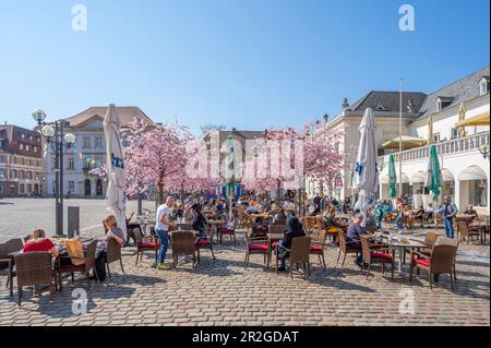 Town hall square with almond trees in bloom, Landau in der Pfalz, German Wine Route, Southern Wine Route, Rhineland-Palatinate, Germany Stock Photo
