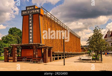 Adventure graduation tower in Bad Salzuflen, Lippe district, North Rhine-Westphalia, Germany Stock Photo