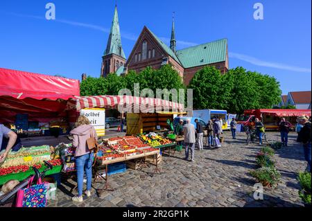 Market day in front of the Meldorfer Dom, Meldorf, Meldorf, Dithmarschen, North Sea Coast, Schleswig Holstein, Germany, Europe Stock Photo