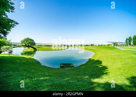 Pond with reflection in golf grassland Stock Photo