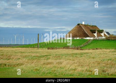 Hamburger Hallig with wind turbines in the background, Wadden Sea National Park, Schleswig-Holstein, Germany Stock Photo