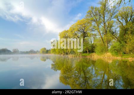 Beautiful spring morning at Dietlhofer See, Weilheim, Bavaria, Germany Stock Photo