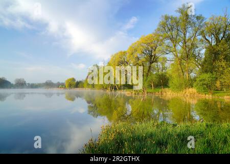 Beautiful spring morning at Dietlhofer See, Weilheim, Bavaria, Germany Stock Photo