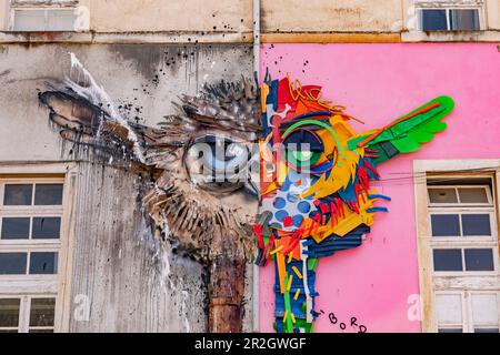 A colorful fantastic mythical creature as street art on a house wall next to the University of Coimbra, Portugal Stock Photo
