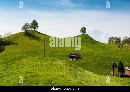 Panorama with huts and hills, Mount Pilatus in the background, Weggis, Lake Lucerne, Lucerne Canton, Switzerland Stock Photo