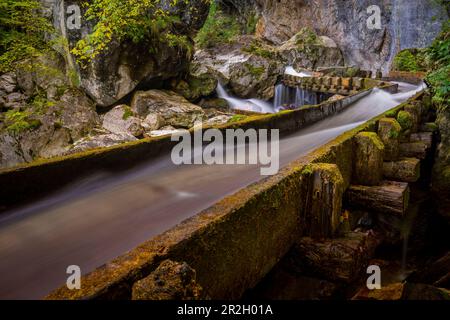 In the wild and romantic Pöllat Gorge, Ammer Mountains, Allgäu, Bavaria, Germany, Europe Stock Photo