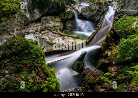 In the wild and romantic Pöllat Gorge, Ammer Mountains, Allgäu, Bavaria, Germany, Europe Stock Photo