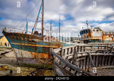 Shipwrecks in the picturesque harbor of Camaret sur Mer, Finistere department, Brittany, France, Europe Stock Photo