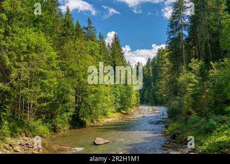 In the wild and romantic Ammer Gorge near Saulgrub, district of Garmisch-Partenkirchen, Bavarian Alpine foothills, Upper Bavaria, Bavaria, Germany, Eu Stock Photo