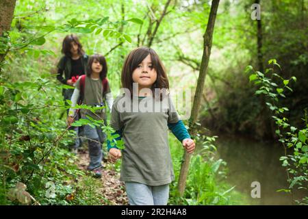 Three siblings walking and exploring the forest alongside a stream. In the foreground, the youngest sibling is leading the way. Stock Photo