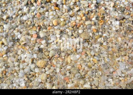 Full frame of pebble and clear sea water, summer vibe background, top view Stock Photo