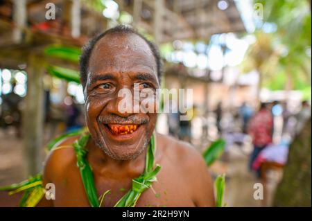 In the Solomon Islands, it is a cultural practice for some people, particularly in certain communities, to have red-stained teeth. This practice is known as 'betel nut chewing' or 'buai chewing.'  Betel nut is a fruit of the Areca palm tree, which is commonly chewed in many parts of Asia and the Pacific, including the Solomon Islands. When the betel nut is chewed, it releases a red juice that stains the teeth and mouth. Stock Photo