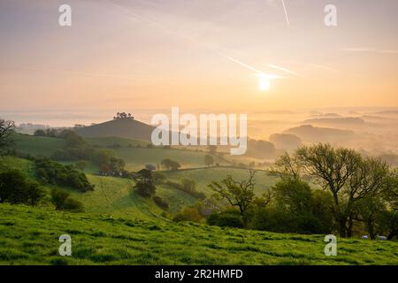 A misty sunrise at Colmers Hill at Symondsbury near Bridport in Dorset on a warm clear spring morning. Stock Photo