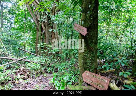 Hiking trail and signpost to Lagoa Amélia and Pico São Tomé crater lake in the primary rainforest of Obô Natural Park on São Tomé Island in West Afric Stock Photo