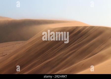 Namibia; Central Namibia; Hardap region; Namib Desert; Namib Naukluft Park; Sandstorm in Sossuvlei; Stock Photo