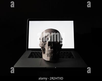 A skull specimen and an abusive image of a computer Stock Photo - Alamy