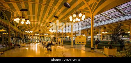 View of the Hall des Sources in the spa district of Vichy, Auvergne-Rhône-Alpes, France Stock Photo
