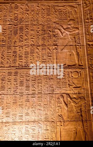 Stone Carvings and Hieroglyphs in The Sanctuary, The Temple of Isis, Philae Temple Complex, UNESCO, Agilkia Island, Aswan, Egypt, North Africa, Africa Stock Photo