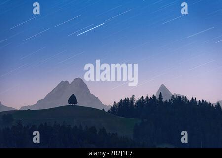 Star trail in the night sky over a lone tree on hill and Schreckhorn peak, Sumiswald, Emmental, Bern canton, Switzerland, Europe Stock Photo