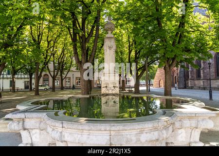 Fountain at Munsterplatz in Basel, Switzerland, Europe Stock Photo