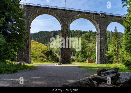 Ravenn Viaduct at the entrance to the Ravenna Gorge near Breitnau, Black Forest, Baden-Württemberg, Germany Stock Photo