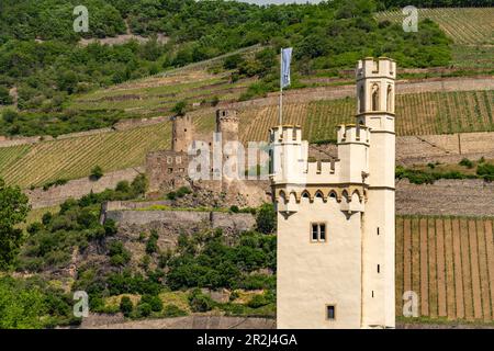 The Mouse Tower of Bingen am Rhein, Rhineland-Palatinate, and Ehrenfels Castle in Rüdesheim, Hesse, World Heritage Upper Middle Rhine Valley, Germany Stock Photo