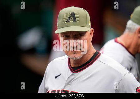 This is a 2022 photo of coach Tony Perezchica of the Arizona Diamondbacks  baseball team shown, Monday, March 21, 2022, in Scottsdale, Ariz. (AP  Photo/Matt York Stock Photo - Alamy