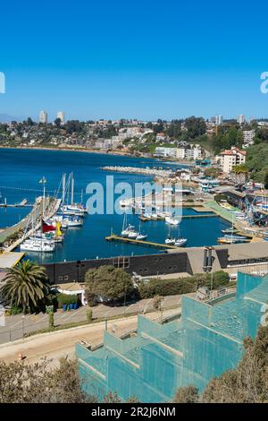 Elevated view of boats at Caleta Higuerillas, Concon, Valparaiso Province, Valparaiso Region, Chile, South America Stock Photo