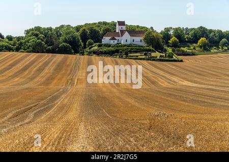 Landscape at Humble Church, Langeland Island, Denmark, Europe Stock Photo