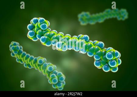 Molecular model of beta-carotene, illustration Stock Photo