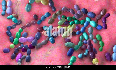 Rhodotorula fungi, illustration Stock Photo