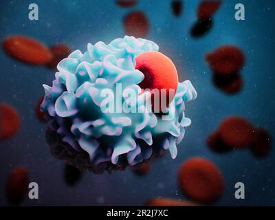 Macrophage engulfing red blood cell, illustration Stock Photo