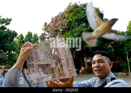 Quan Am Bo Tat temple, Buddhist ceremony of releasing birds back into the wild to help an individual accrue merit, Vung Tau, Vietnam, Indochina Stock Photo