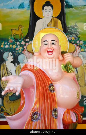 Phu Son Tu Buddhist temple, Smiling Buddha (Happy Maitreya) Buddha statue, Tan Chau, Vietnam, Indochina, Southeast Asia, Asia Stock Photo