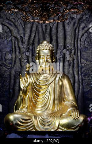 Chua Ho Quoc Pagoda, Siddhartha Gautama (the Shakyamuni Buddha) sitting in meditation pose under Bodhi tree, Phu Quoc, Vietnam, Indochina Stock Photo