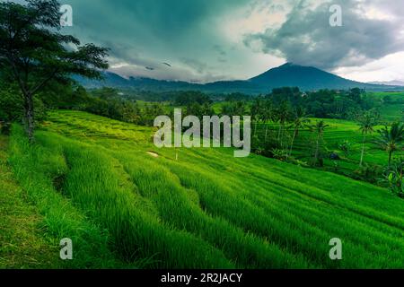 View of Sidemen Rice Terrace, Sidemen, Kabupaten Karangasem, Bali ...