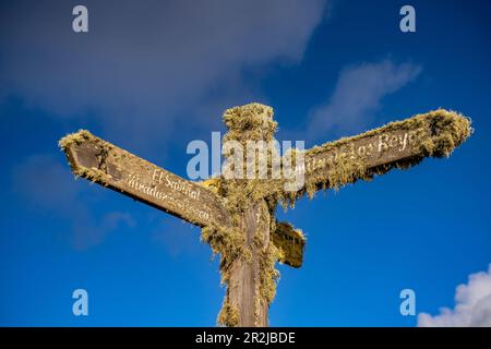 Moss covered signpost El Sabinal and Ermita de los Reyes, El Sabinar, El Hierro, Canary Islands, Spain Stock Photo