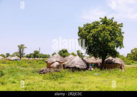 Janikura, traditional round hut village of the Gonja on the Damongo-Sawla-Raod in the Central Gonja District in the Northern Region of northern Ghana Stock Photo